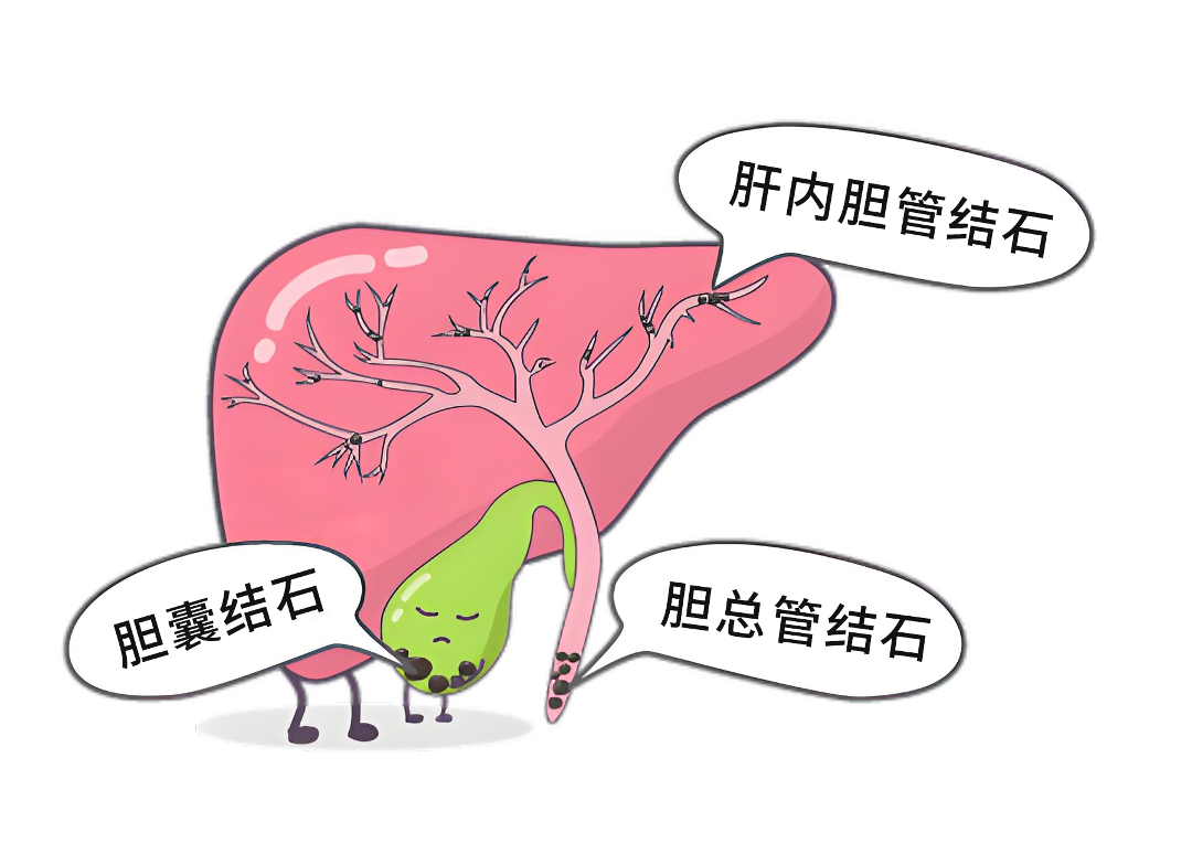 微信图片_20260515143215.png