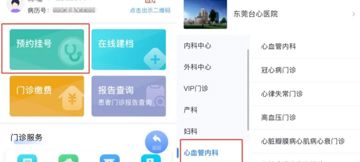 医心援藏护高原心跳 科研赋能筑健康防线——东莞台心医院心血管内科林玉壁博士赴藏公益义诊纪实暨高原心脏健康科普
