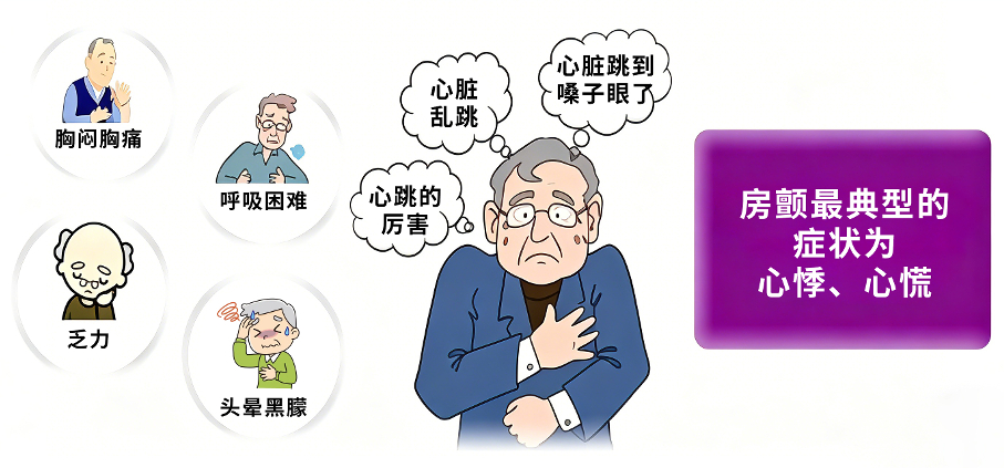 房颤插图.jpg