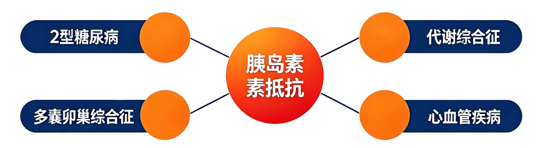 胰岛素抵抗示意图生成需求 (1).png
